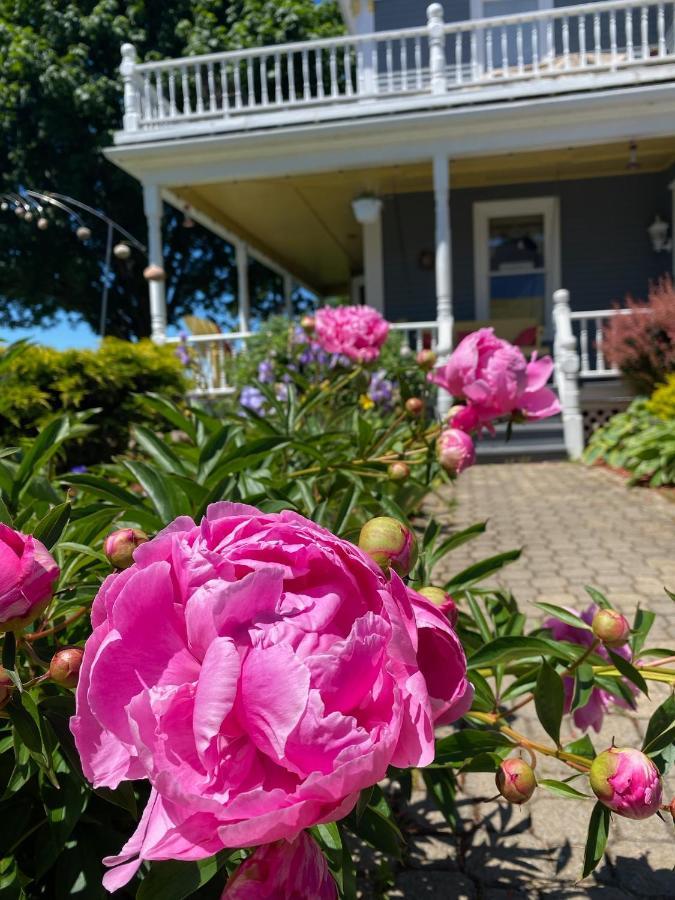 Toba'S Bed & Breakfast Lunenburg Exterior photo